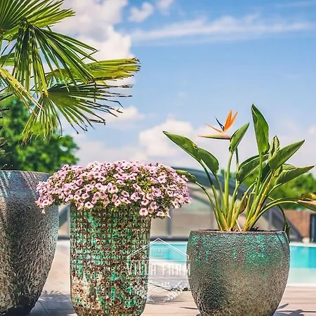 Villafarm Resort&Spa Ujireg - Ozora * Ujireg